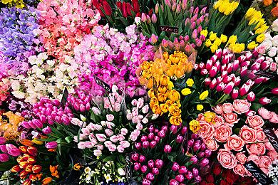 外媒评2022年优秀Xbox游戏 《艾尔登法环》获得最佳