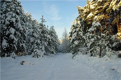《阿凡达：潘多拉边境》提供拍照模式 没有新游戏+